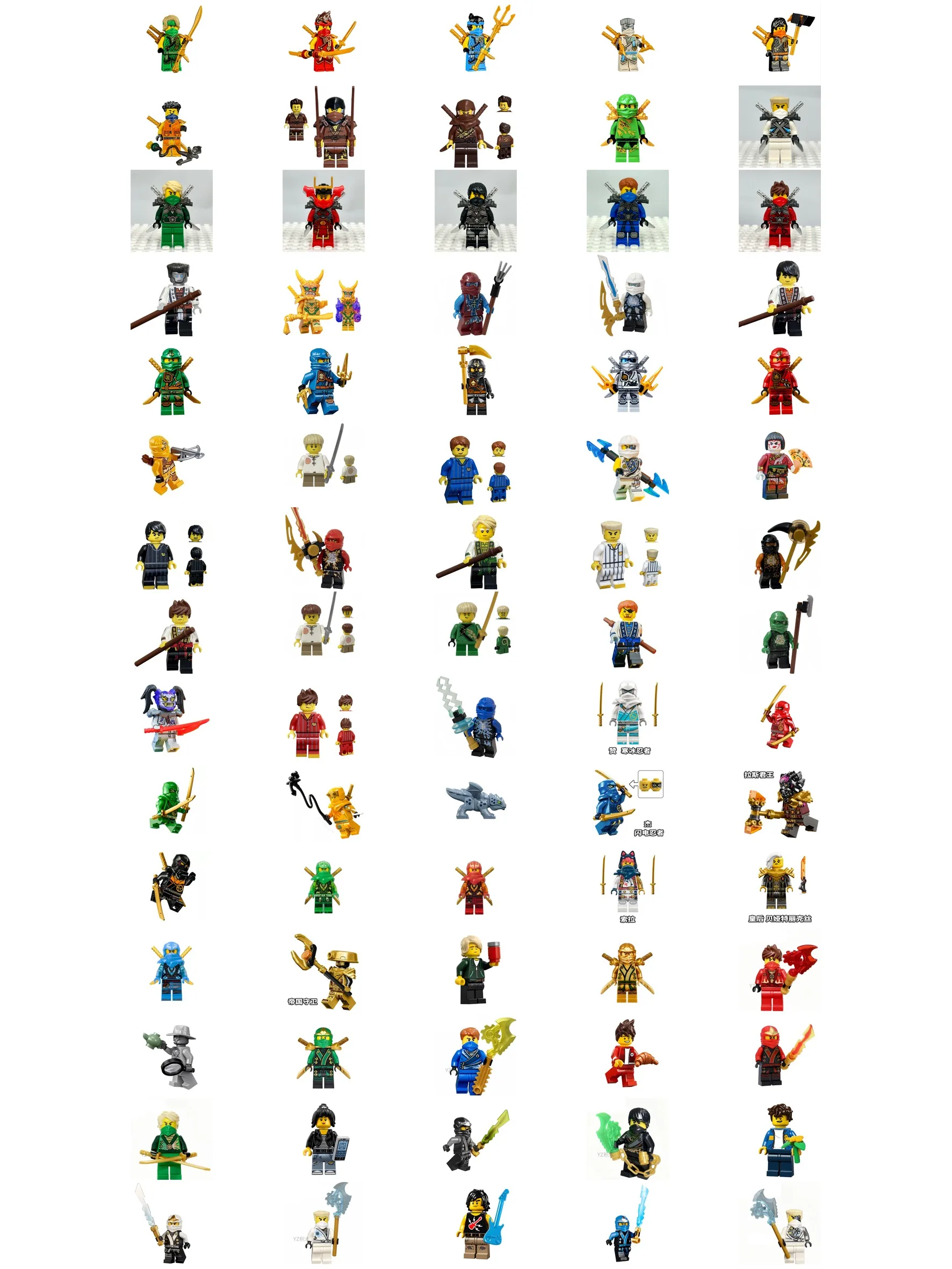 dsc-products