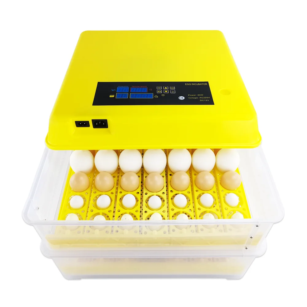 Best Sellers Hatching Equipment Egg Incubator for Sale HT-112