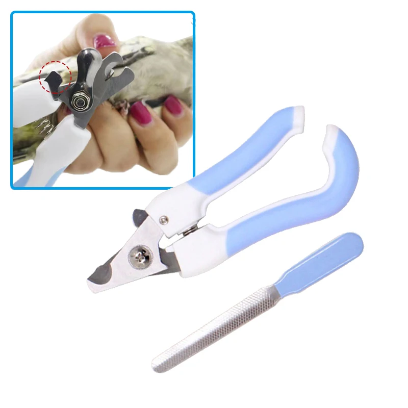 Safety Buckle Bird Parrot Scissors Nail Clipper Grooming Tool Trimmer For Small Pets Rabbit Parrot Cockatiel Accessories Oiseaux