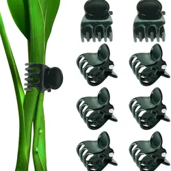 200pcs Garden Plant Clips Grafting Clips Support Clips Tied Vine Clips Flower Fruit Vegetable Orchid Special Clips