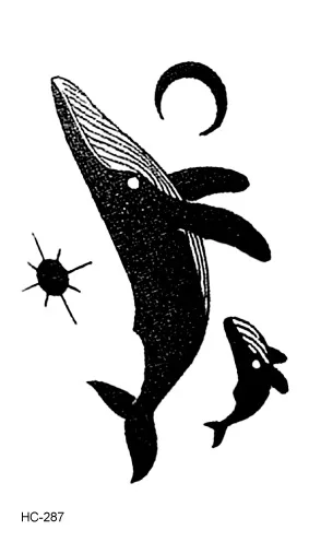 Image 42