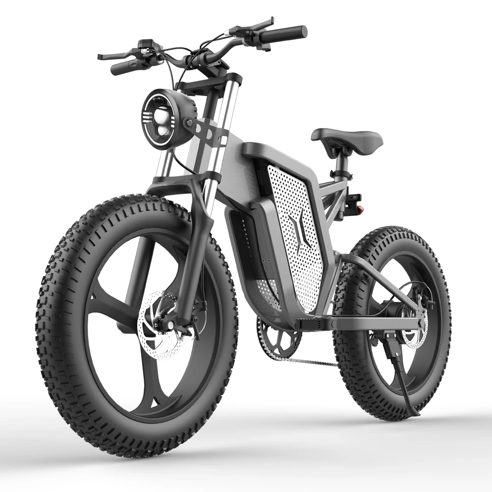 XQSExplorer 20 Inch Bike Fat Tire Electric Bike 2000W 48V 35AH