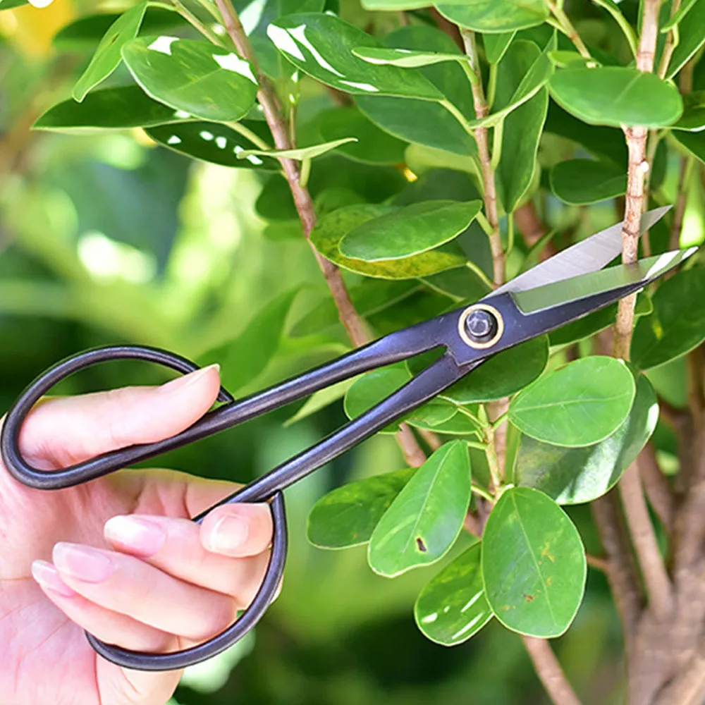 21cm Anfänger Bonsai Werkzeug Lange Griff Schere Gartenarbeit Anlage Zweig Scheren Garten Beschneiden Werkzeuge Bonsai Schere Drop Verschiffen