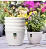 1PC with Tray Round Plastic Flowerpot 2