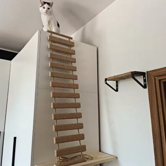 Cat Climbing Shelves Wall Mounted Kitty Nest & Perch Scratching Rope For Cat Claws Cat Scraper Furniture Cat Tree