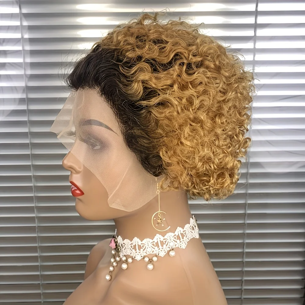 Short Curly Bob Wig Human Hair for Women T1B/99J Short Pixie cut Pre Plucked Natural Hairline Ombre Colored 13x1 Transparent Lac