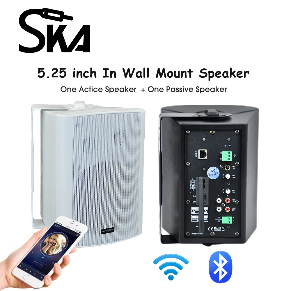 WiFi 벽걸이 스피커 박스 HiFi 서브우퍼 스테레오 3D 사운드 PA 시스템 내장 D 클래스 앰프 지원 RJ45 (학교, 영화관용)