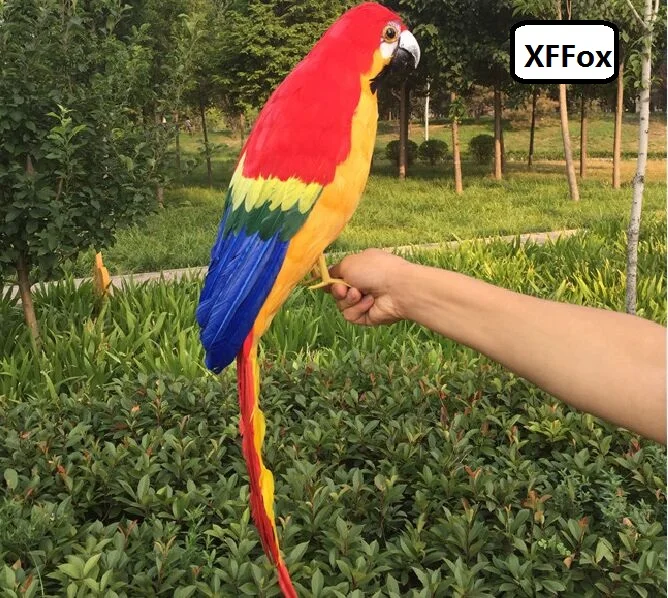 

big real life parrot model foam&feather red&yellow parrot bird gift about 60cm d0133