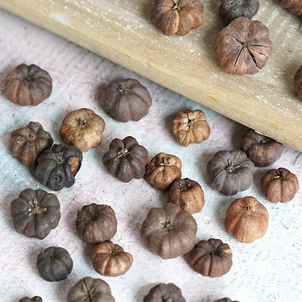 Dried Vegetables Mini Natural Halloween Pumpkins 15pcs vegetable ornaments table decoration artificial pumpkin decoration