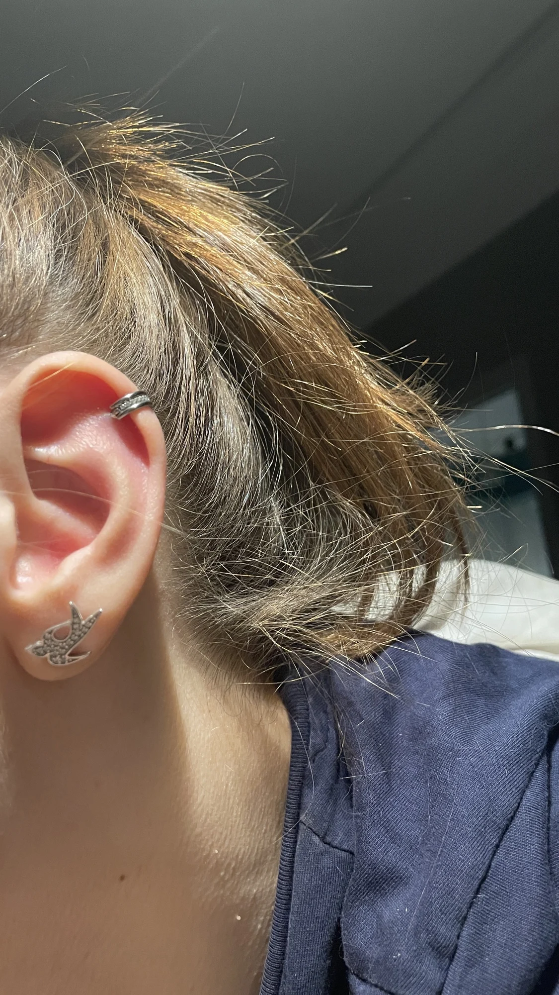 1PC Ohrringe Ohrstecker G23 Titan Piercing Zirkon 8/10/12mm Hoops Clicker Nasenringe Septum Tragus Knorpel Helix Conch Piercing – Detail 38
