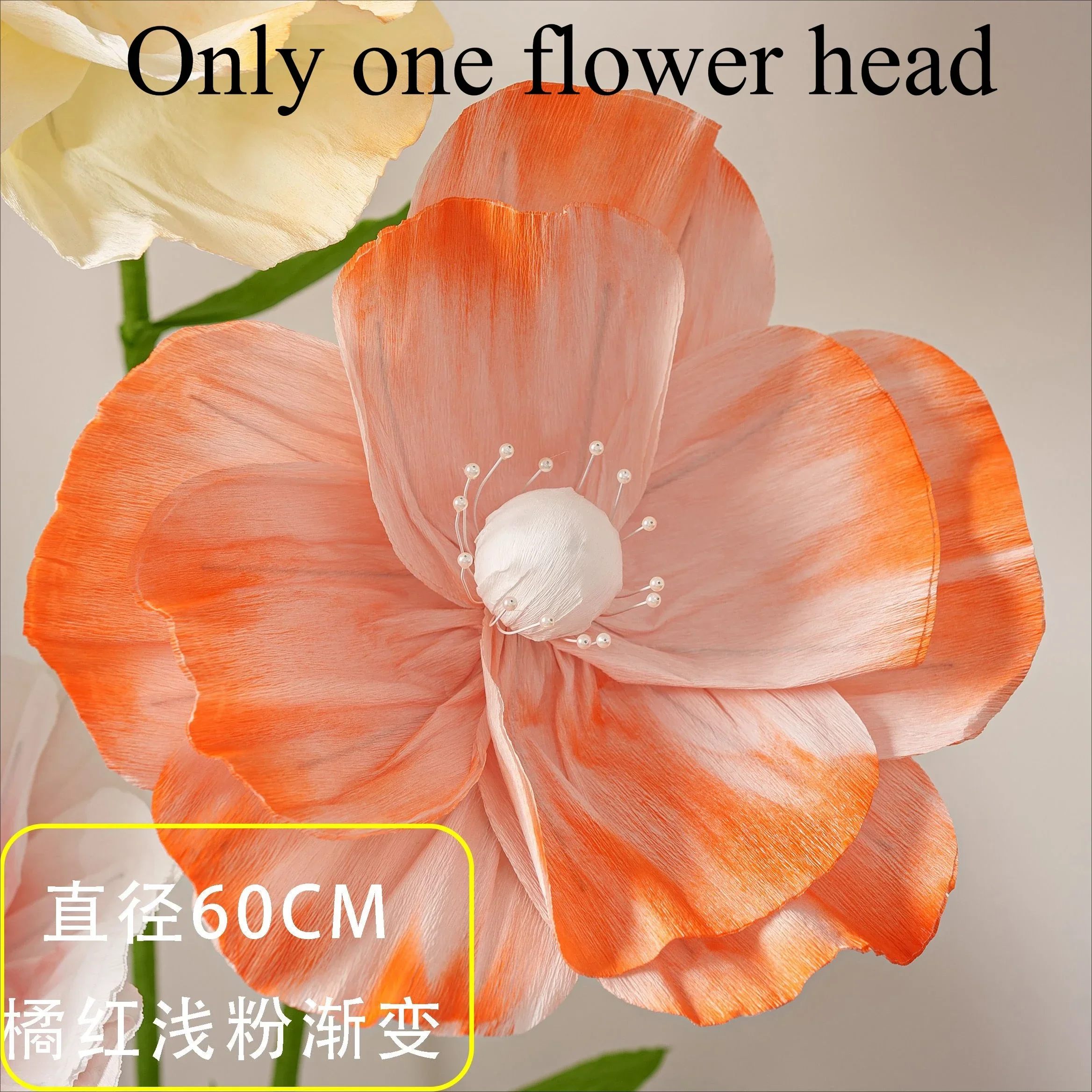 Flower Head 05