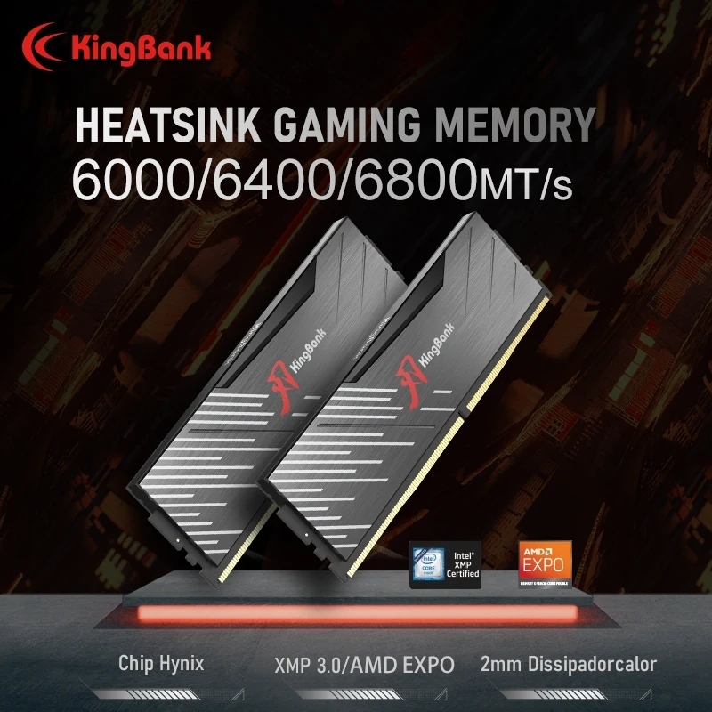  Kingbank 2 PCS DDR5 16GB RAM 6000MHz 6400MHz 6800MHZ XMP PC Desktop Computer Memory Memoria Support Motherboard with Heat Sink