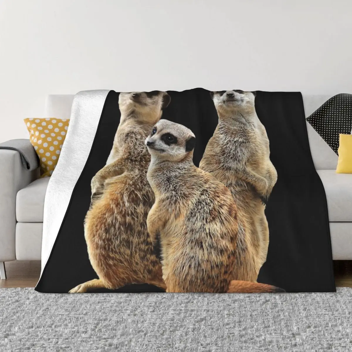 

Lions Throw Blanket Camping blankets and blankets