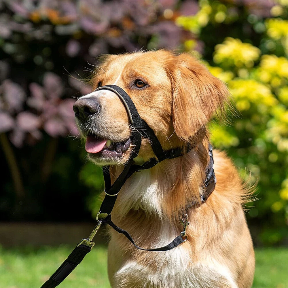 Adjustable Quick-Release Dog Head Halter Muzzle-Anti-Bite Bark & No-Pull Leash Control with Safety Strap