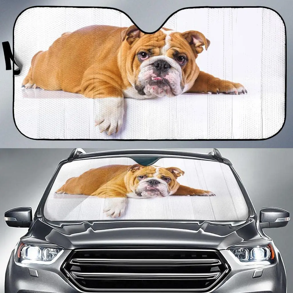 

Cute Bulldog Dog Lying On White Background Image Car Sunshade, Tan And White Bulldog Lying On White Background Auto Sun Shade, W
