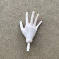 NO.5