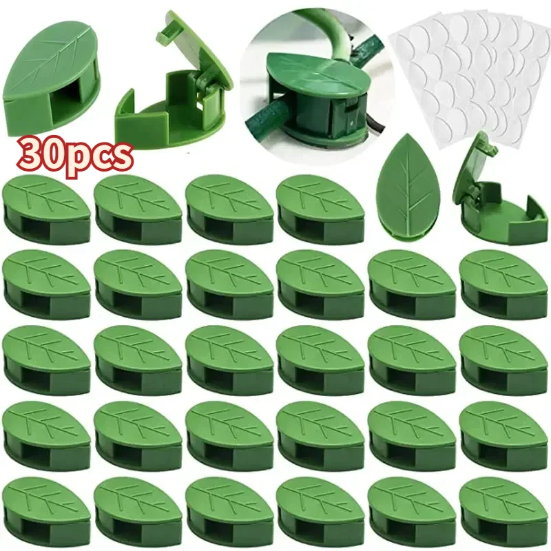 

30pcs Plant Climbing Wall Fixture Clips Acrylic Sticker Self-Adhesive Hook Plant Vine Traction Holder Indoor Outdoor Decor
