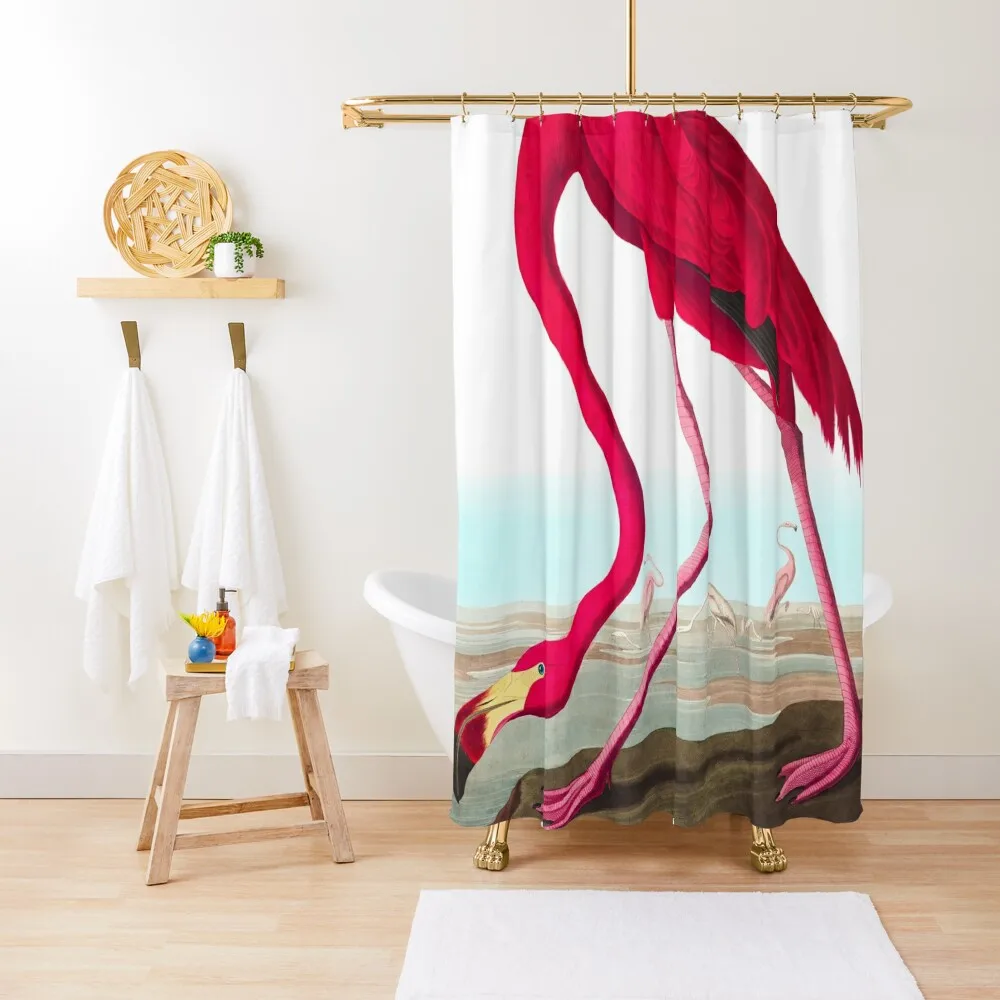 

American Flamingo by John James Audubon Shower Curtain Elegant Bathroom Bathroom And Shower Products For Bathrooms Curtain