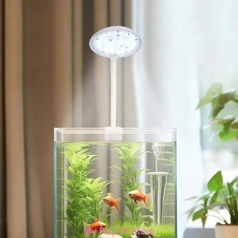 Ŭ   ȣ ִ  LED , ٴ幰 , Ŭ ȣ ũ, 5W, 7W