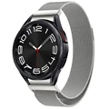 Silver band