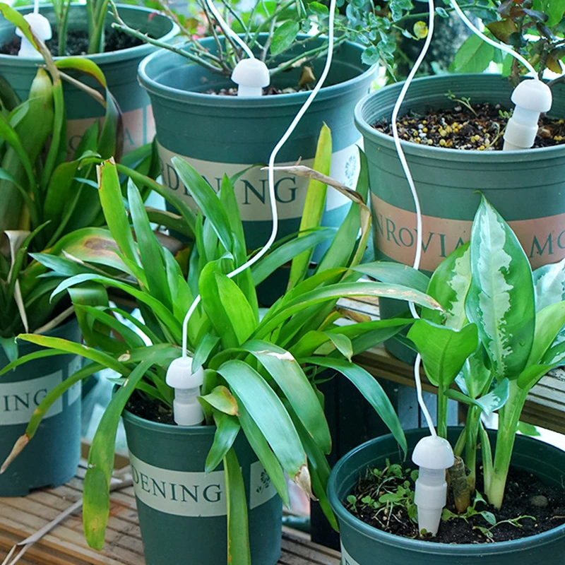 

Self Watering Spikes Automatic Drip Irrigation Watering Stakes Flower Waterer Tool For Indoor Plant Pot Home Garden