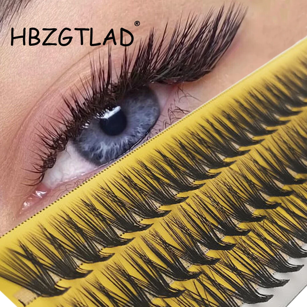 

HBZGTLAD New L Curl Mink False eyelash 60 Clusters Lashtray For Makeup 20D Eyelashes extensions individual handmade eye lashes