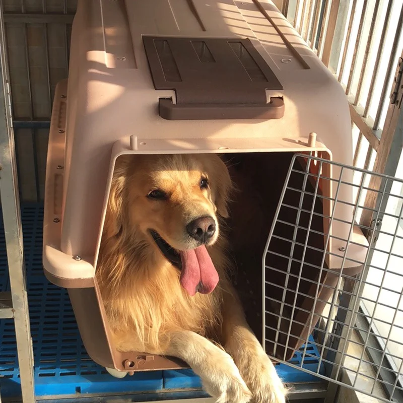 고양이 개에 적합한 휴대용 애완 동물 항공 캐리어 가방 내구성 방수 옥스포드 천 경량 휴대하기 쉬운