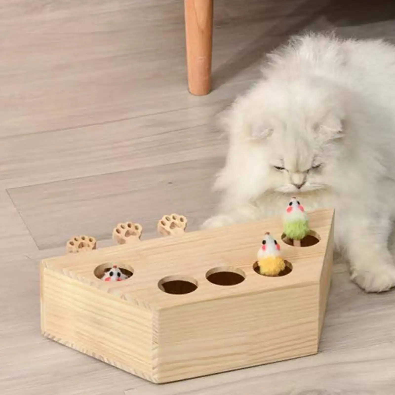 

Hamster Toy 5 Holes Tease Cat Scratching Box Supplies Training Tool