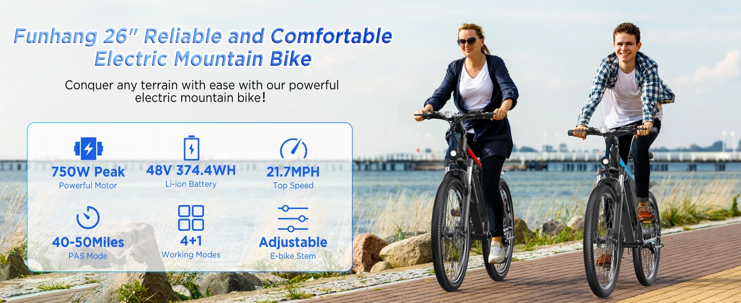 electric bike