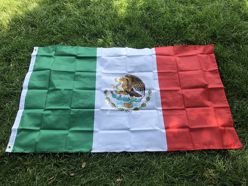 Mexico National Flag - Detailed View 2