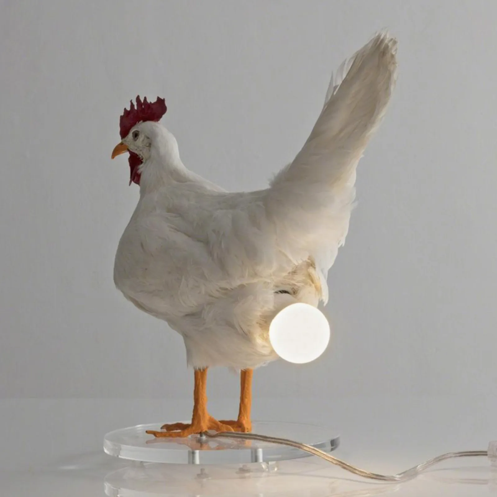 Rooster Night Light FREE SHIPPING 