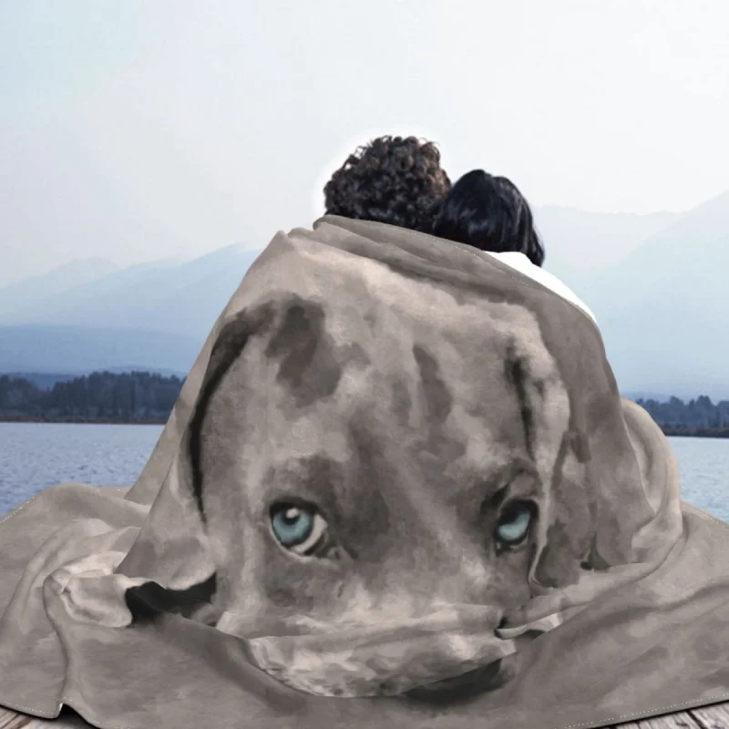 Weimaraner- ȥ ̵ , ö  , ޴ ϼ Ƽ  , ħ, Ȩ, ķ, 繫