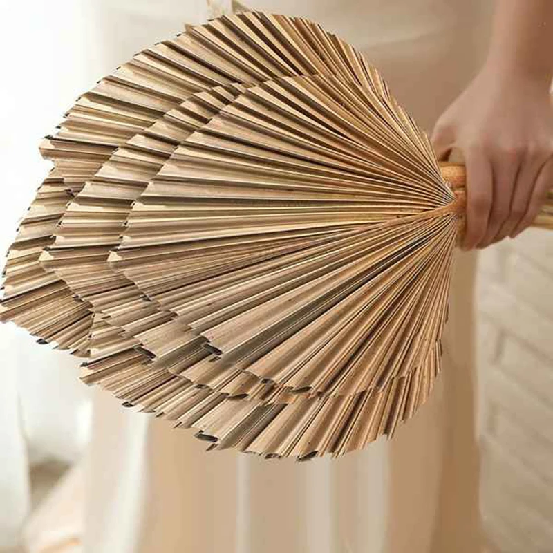 Dried Palm Leaves Room Decor,5 Pieces 18Inch H X 10Inch W,dried palm leaves
