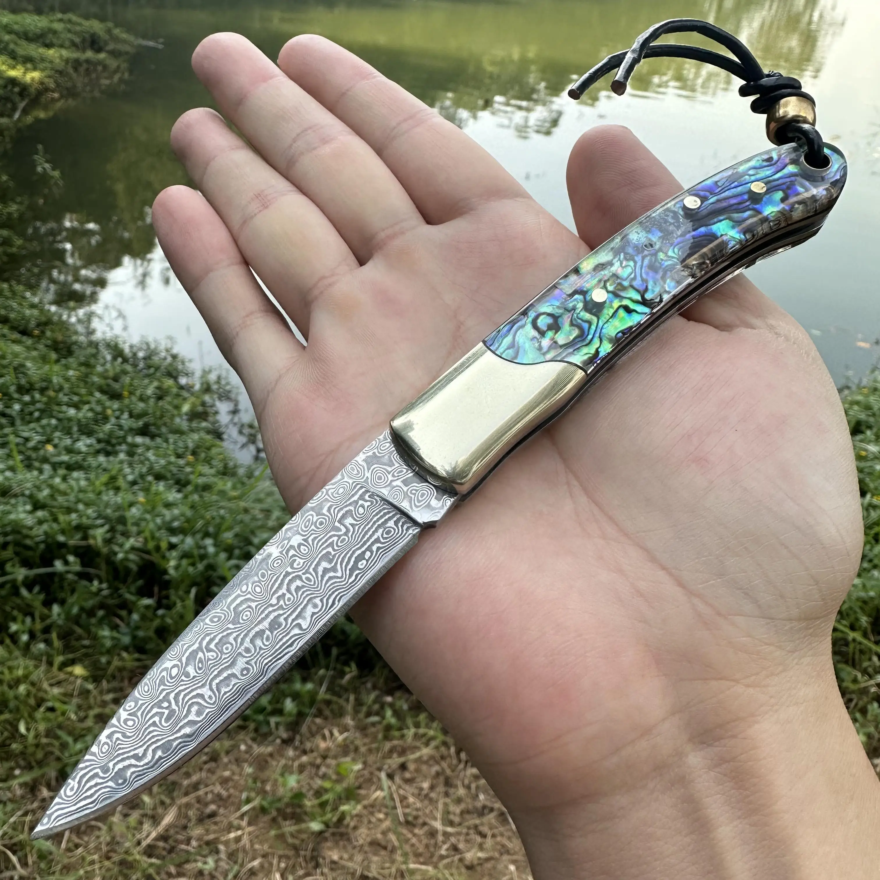 

Damascus Pocket Knife Top167 Layers VG10 Steel Abalone Shell & Ebony Handle Copper Head EDC Fishing Outdoor Handmade Knife Gift