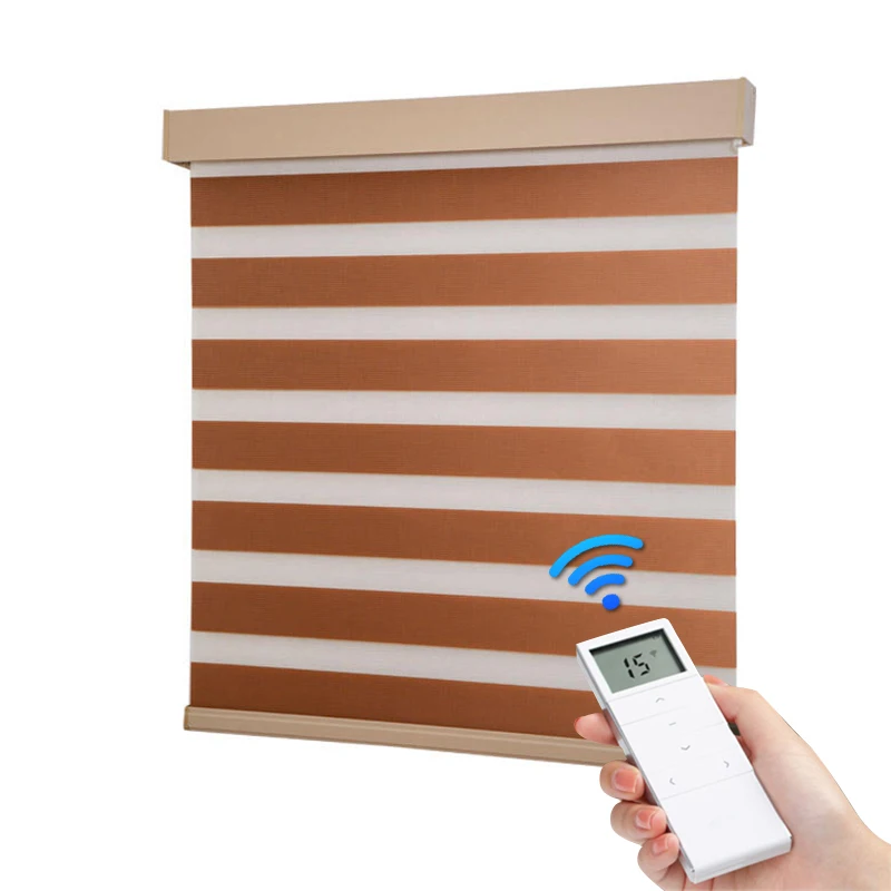 

Factory electric wifi zebra dual mechanism textile custom window motorised motor chain smart horizontal blind roller