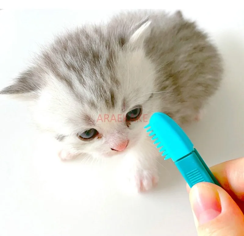 Multi functional cleaning brush for pets, eye droppings clip for dogs, cats, brushing teeth, cleaning teeth, and removing black