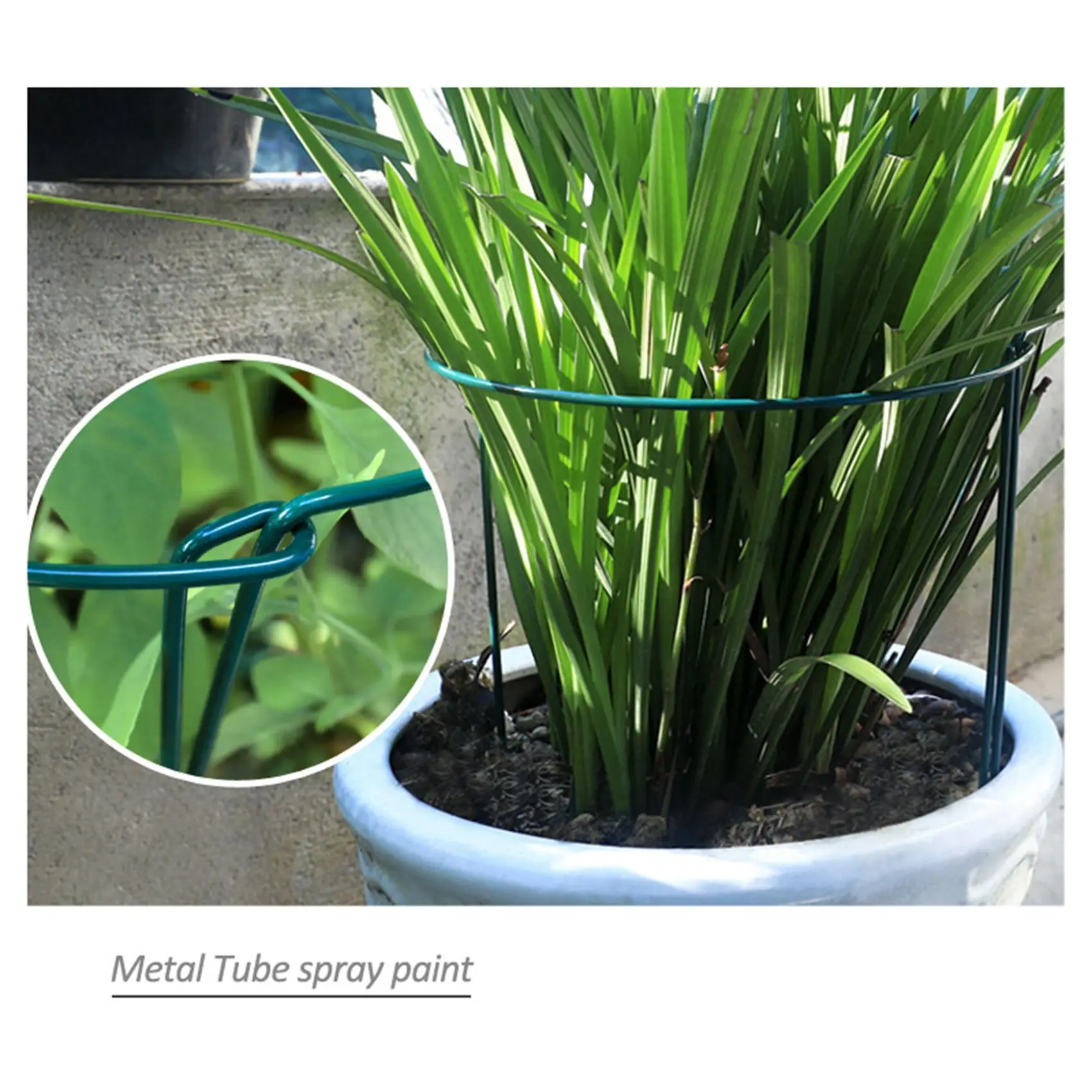 4-Pcs-Plant-Support-Stakes-Ring-Cage-Metal-Garden-Plant-Stake-Green-Half-Round-Plant-Support.jpg 4 Pcs Növényi Tartó Tét Gyűrű Ketrec Fémkerti Növény Zöld Fél Kerek - Image 4