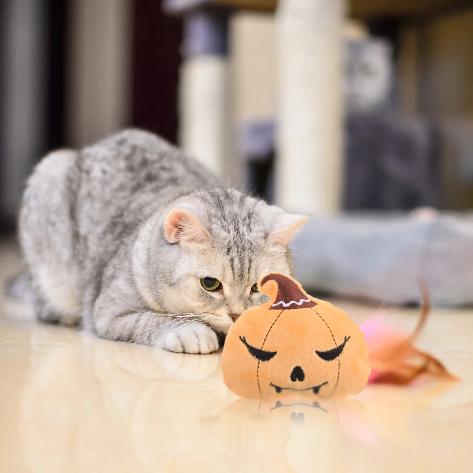 

Halloween Themed Pet Teething Toy Pumpkin Shaped Cat Plaything Plush Pet Catnip Toy
