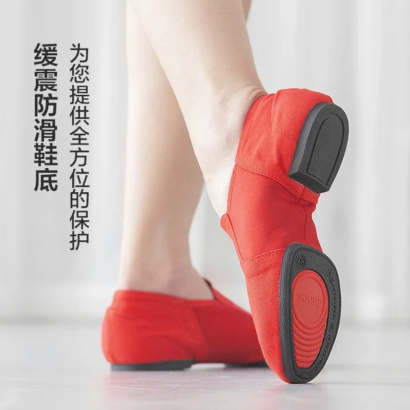 Dance Shoes Female Canvas Soft Rubber Suede Bottom Lace Free Low-cut Salsa Jazz Dance Shoes