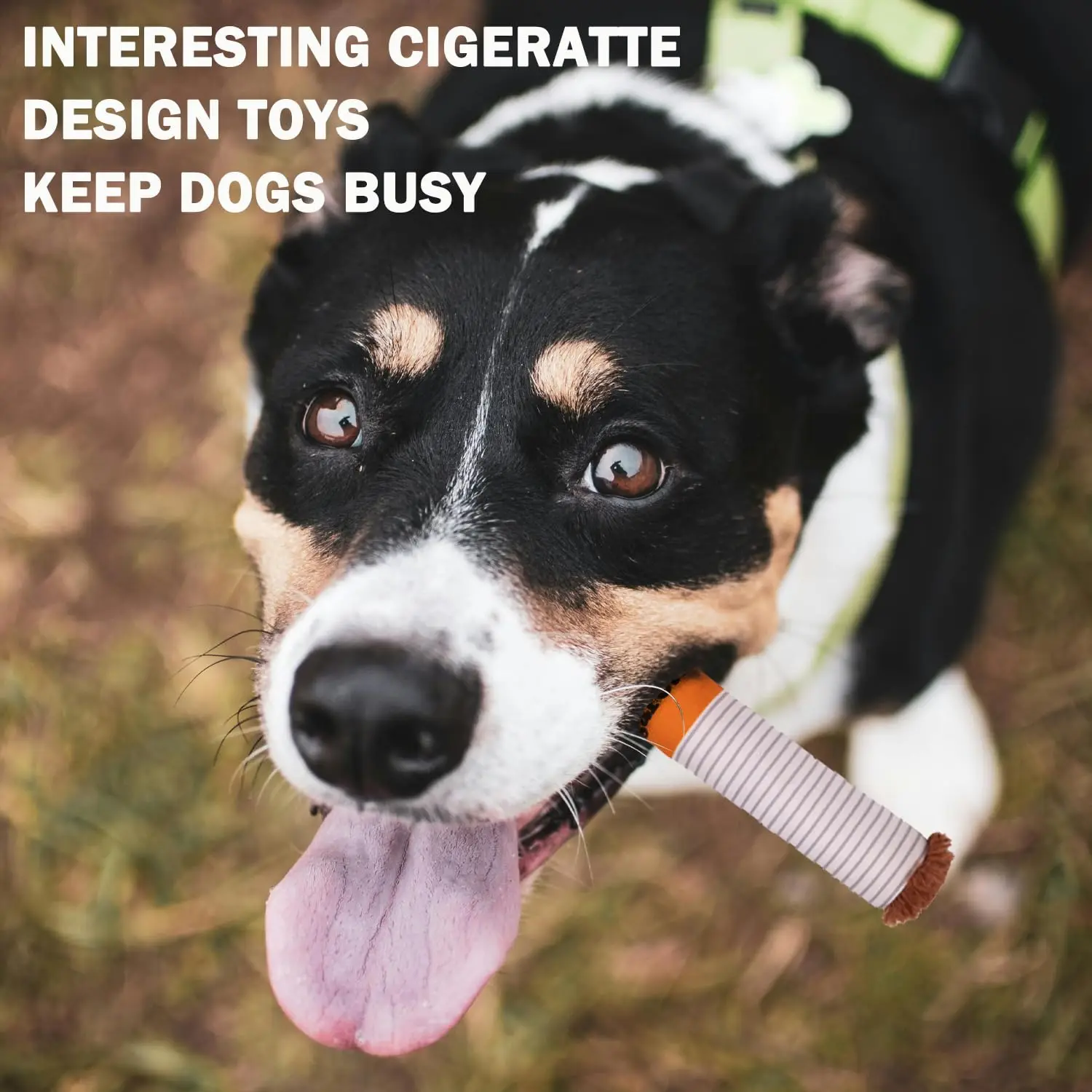 Cigarettes Dog Toy Imitation Cigar Giggles Sound Self-Entertaining Chew-Resistant Plush Grinding Teeth Small Dogs Medium Dogs 3
