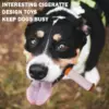 Cigarettes Dog Toy Imitation Cigar Giggles Sound Self-Entertaining Chew-Resistant Plush Grinding Teeth Small Dogs Medium Dogs 3