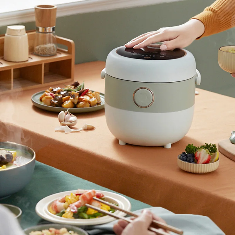 DFB-B20A1 Mini rice cooker – Pacific Innovations Gateway Inc.