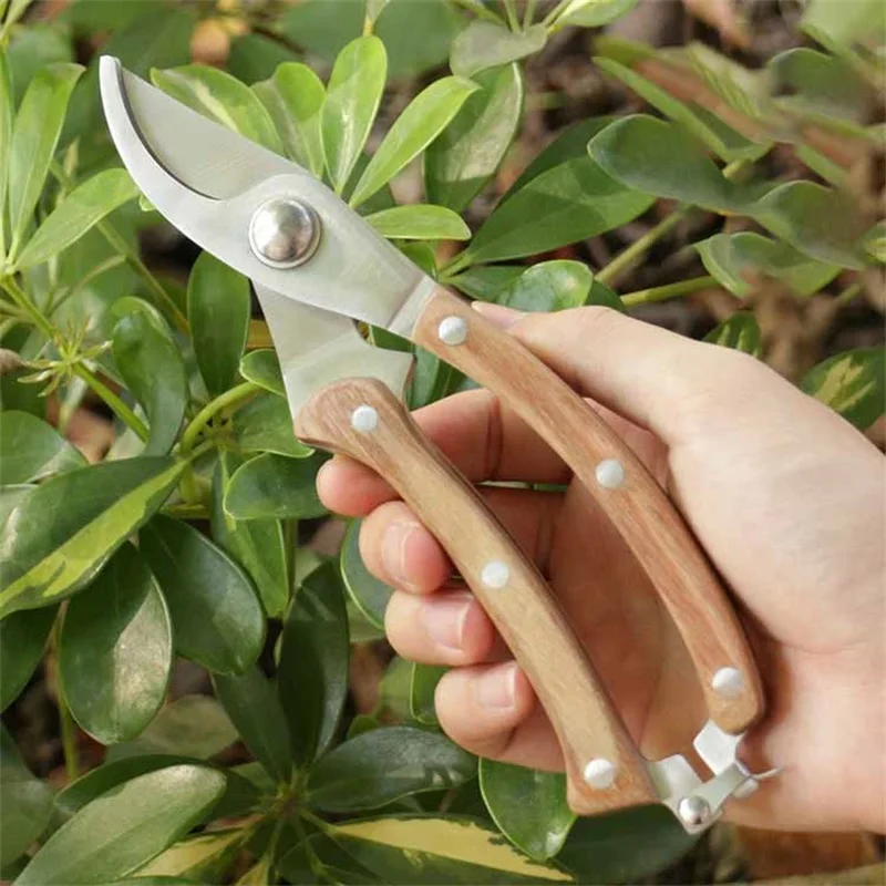 Description Picture 2 of itemMulti Functional Pruning Scissors Gardening Fruit Picker Bonsai Branch Repair Wood Handle Shears Home Cutting Tools Anti-slip