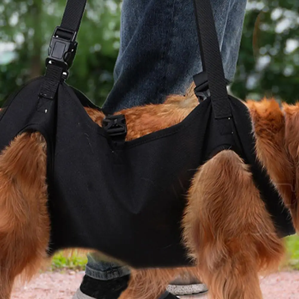 Description Picture 4 of itemDog Lift Harness For Stairs Dog Recovery Sling Thicken Handle Dog Assist Belt Pet Rehabilitation Lift Vest Adjustable Strap