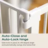 2-pack Extra Wide Door Easy To Walk Through Dog Door Suitable for Stairs Self-closing Safety Pet Door for Doorways White 4