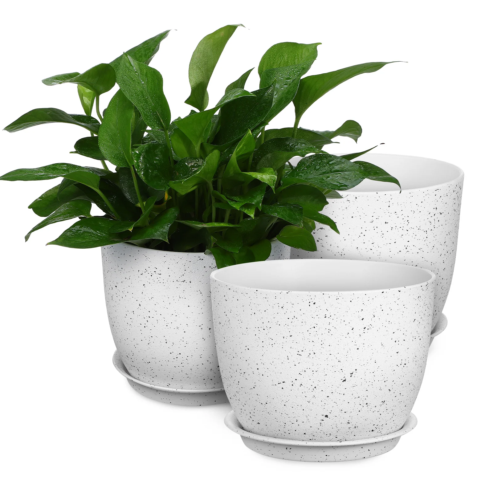 

3 Pcs Imitation Granite Flowerpot Indoor Plant Pots For Absorb Water Plants Pp Plastic Succulent