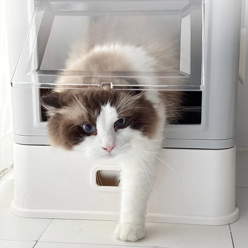 Accesorios para arena de gato, residuos domésticos y limpieza