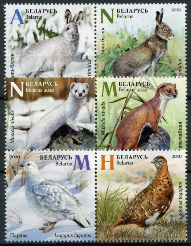 

6 PCS, Belarus Post Stamps, 2020, Animal Stamps, Real Original Stamps for Collection, MNH