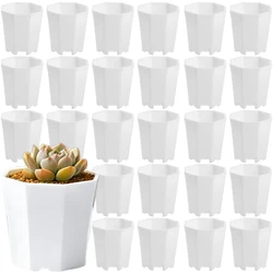 Set of 27 Durable Octagonal White Mini Plant Nursery Pots - Ideal for Succulent and Flower Display (27pcs)