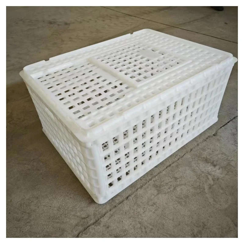 New Condition Plastic Turnover Box Goose Duck and Chicken Transport Crate for Live Broiler Pigs and Chicken Transport